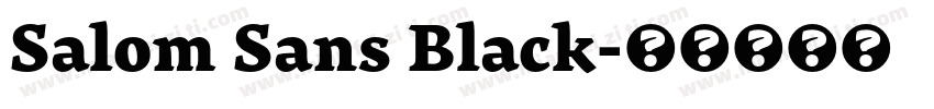 Salom Sans Black字体转换